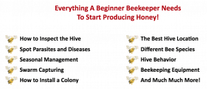 biodling 101 kurs