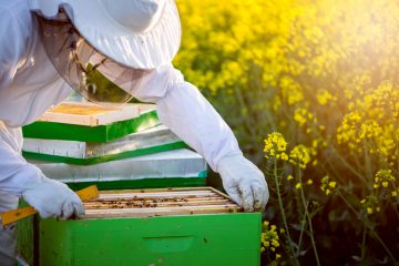 beekeeping equipment