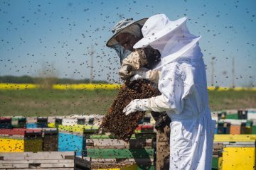 Beekeeping Suit for beekeeper