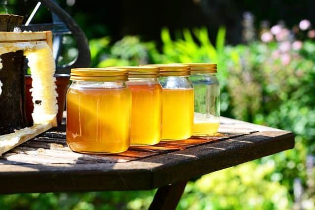honey extractors