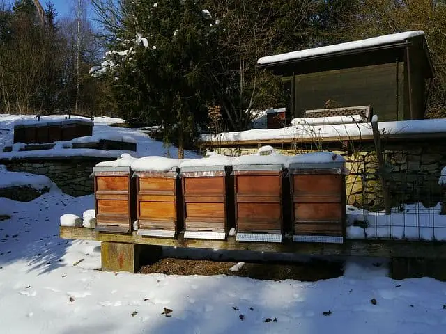 How to Winterize a beehive