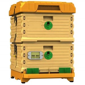 Apimaye 10 Frame Langstroth Plastic Beehive Nuc