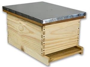 Arboria 8-Frame Deep Pine Beehive Starter Kit