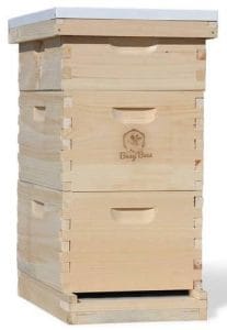 Busy Bees N More Beekeeping Starter Kit