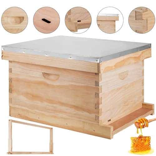 Top 12 Best Beehive & Beekeeping Starter Kits (2024 Review)