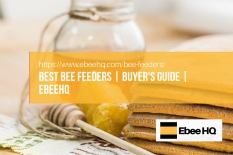 Best Bee Feeders & Bee Hive Feeders