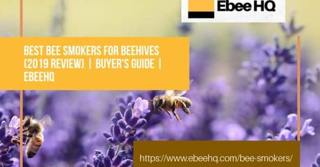 Top 10 Best Bee Smokers For Sale 2020 Review Ebeehq