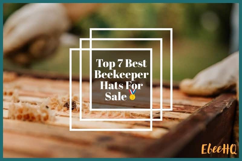 Best Beekeeper Hats For Sale
